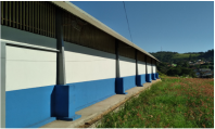 carrao3