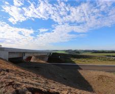 Obras do  Contorno Noroeste de Pato Branco com um viaduto erguido sobre a BR-158, uma ponte sobre o Rio Ligeiro e cinco quilômetros de rodovia até a PR-493 em Itapejara D Oeste. O objetivo é enviar todo o tráfego  de caminhões, para o contorno, aliviando o trânsito urbano. 
