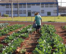 Casa de Custodia de Maringa - Execucao de servicos de  engenharia comuns e reparos 