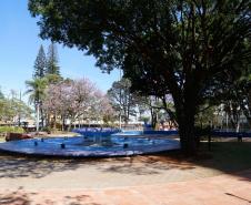  Investimento do Governo melhora a cidade e a vida em Arapongas 