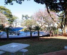  Investimento do Governo melhora a cidade e a vida em Arapongas 