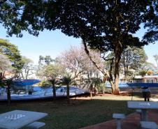  Investimento do Governo melhora a cidade e a vida em Arapongas 