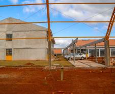 Coronel Vivida, escola