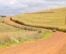 Estrada Rural, municipio de Virmond e Chopinzinho