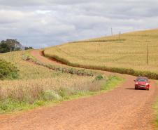 Estrada Rural, municipio de Virmond e Chopinzinho