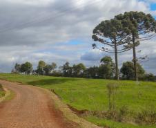 Estrada Rural, municipio de Virmond e Chopinzinho