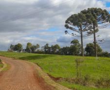 Estrada Rural, municipio de Virmond e Chopinzinho