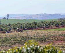 Estrada Rural em Ivaiporã