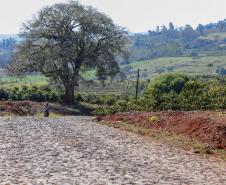 Estrada Rural em Ivaiporã