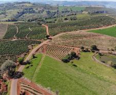 Estrada Rural em Ivaiporã