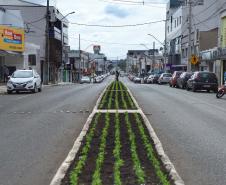  Rua do Mate valoriza a cultura e a produção de São Mateus do Sul 