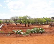 Parque urbano em Andirá 