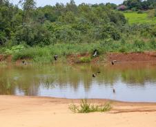Parque Urbano em Jussara