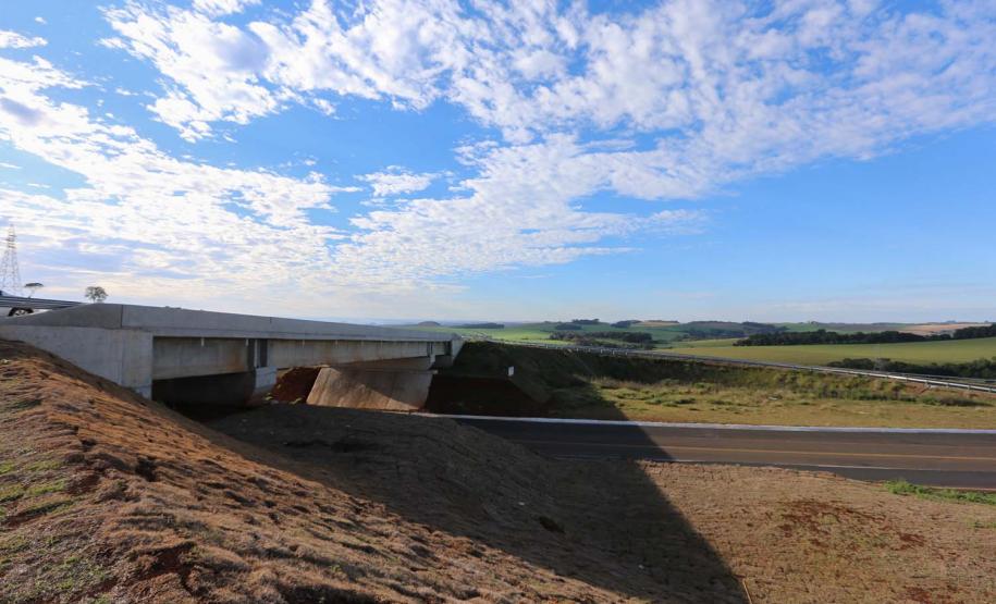Obras do  Contorno Noroeste de Pato Branco com um viaduto erguido sobre a BR-158, uma ponte sobre o Rio Ligeiro e cinco quilômetros de rodovia até a PR-493 em Itapejara D Oeste. O objetivo é enviar todo o tráfego  de caminhões, para o contorno, aliviando o trânsito urbano.