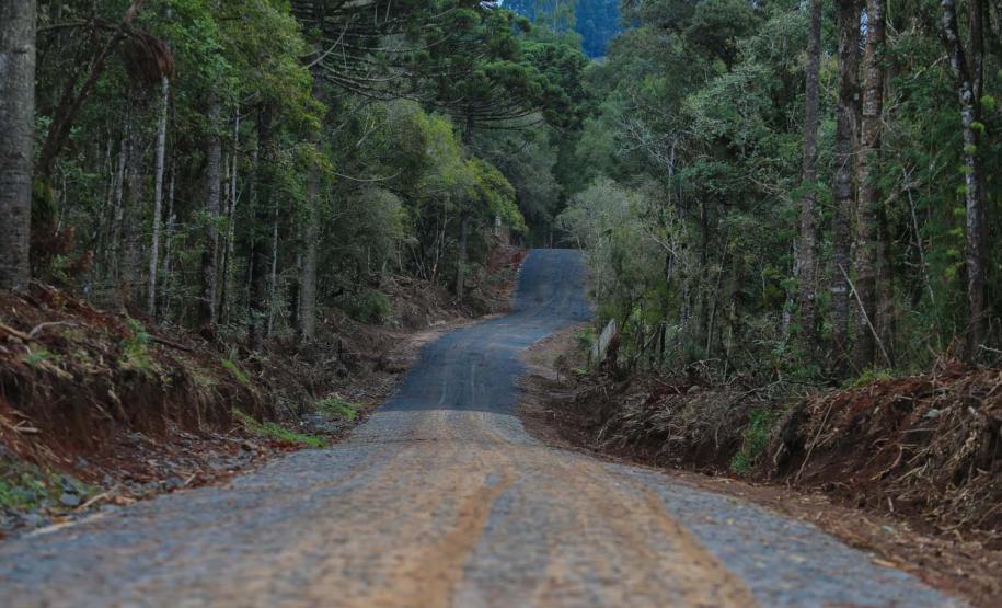 Programa de Estradas Rurais Integradas aos Princípios Conservacionistas - Estradas da Integração, do Governo do Estado. Um trecho de 6,31 quilômetros e seis metros de largura está recebendo pavimentação poliédrica com pedras irregulares ligando a comunidade de Ponte Alta na interseção com a BR-277 até a Sede do Distrito de Patos Velhos em Prudentopolis