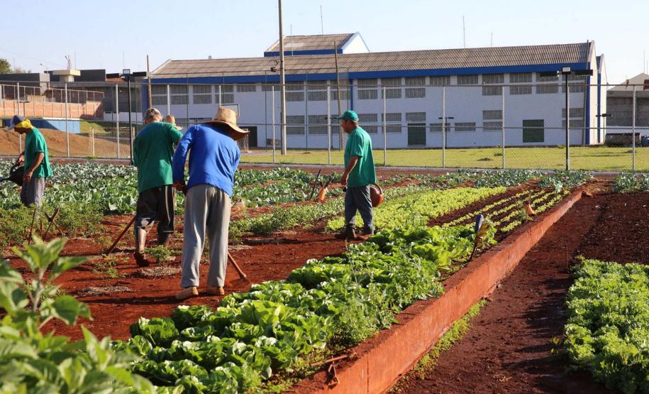 Casa de Custodia de Maringa - Execucao de servicos de  engenharia comuns e reparos