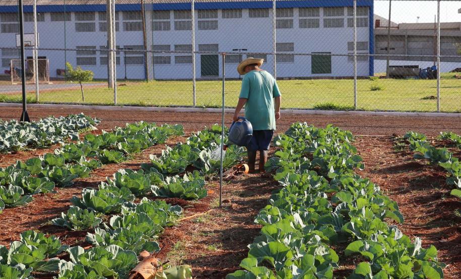 Casa de Custodia de Maringa - Execucao de servicos de  engenharia comuns e reparos