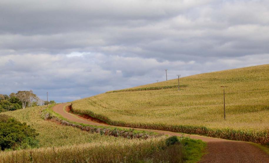 Estrada Rural, municipio de Virmond e Chopinzinho