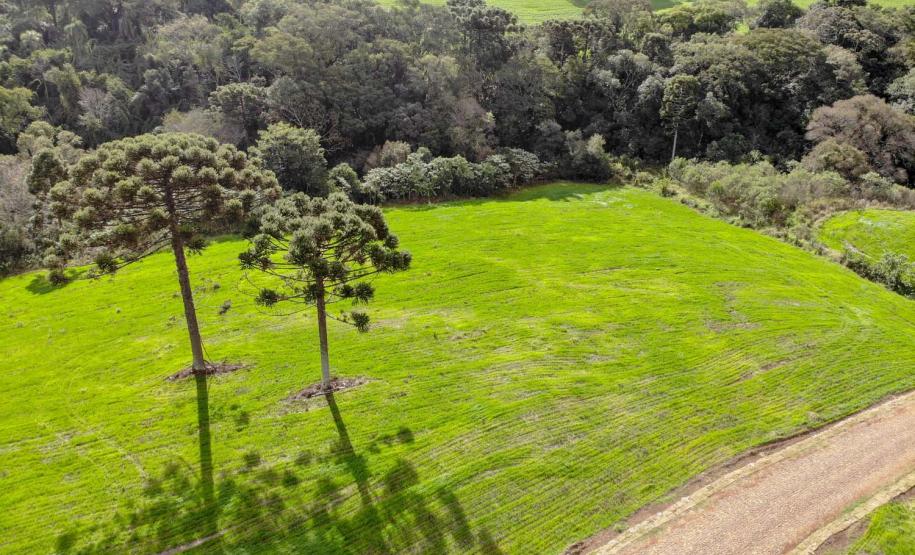 Estrada Rural, municipio de Virmond e Chopinzinho