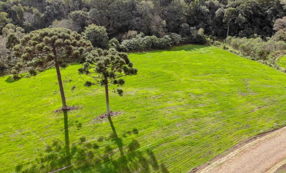 Estrada Rural, municipio de Virmond e Chopinzinho