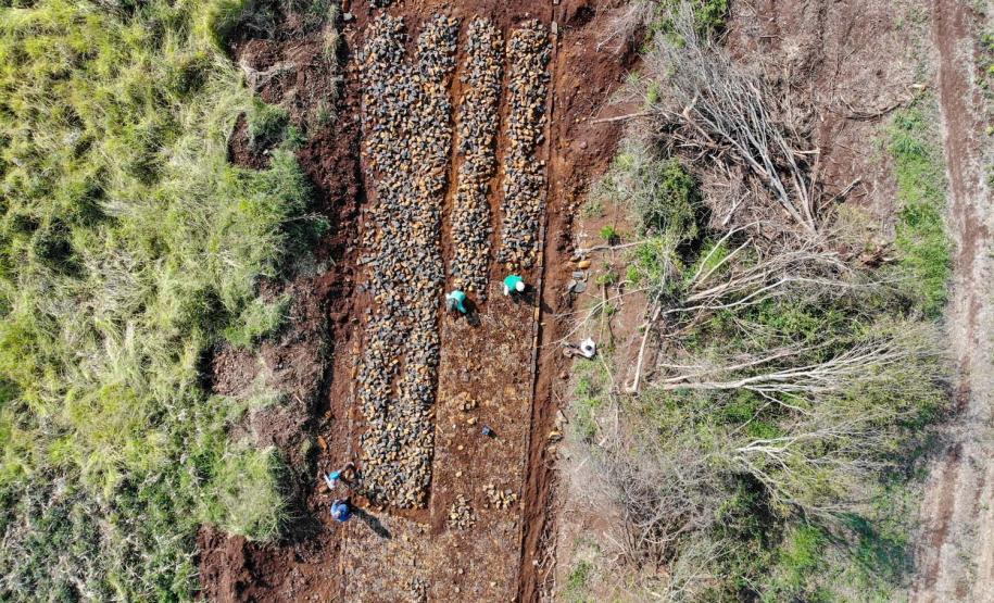 Estradas rurais de Goioxim