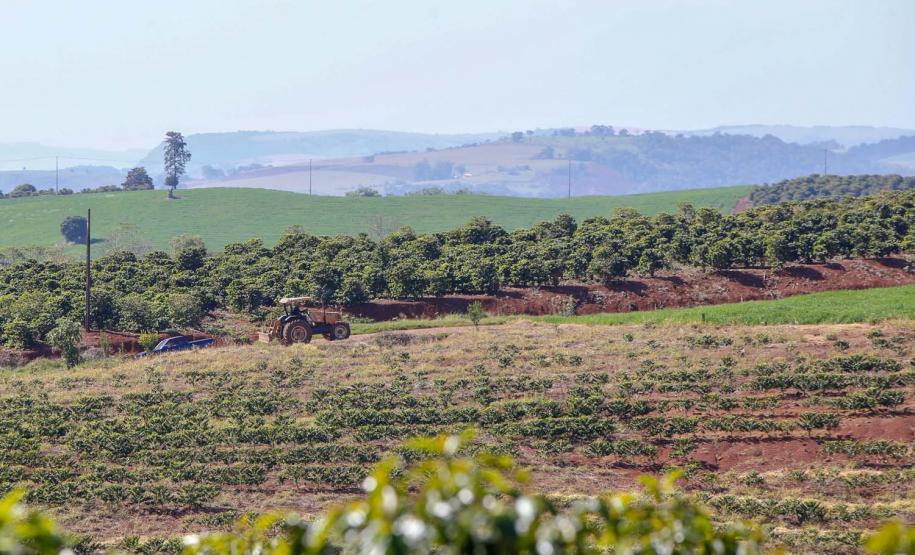 Estrada Rural em Ivaiporã