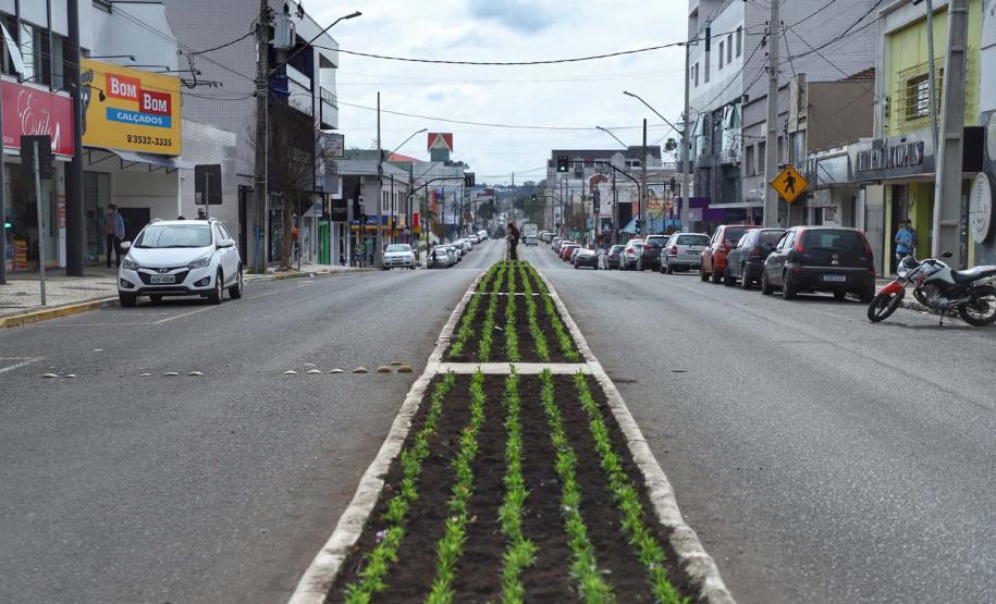 Rua do Mate valoriza a cultura e a produção de São Mateus do Sul