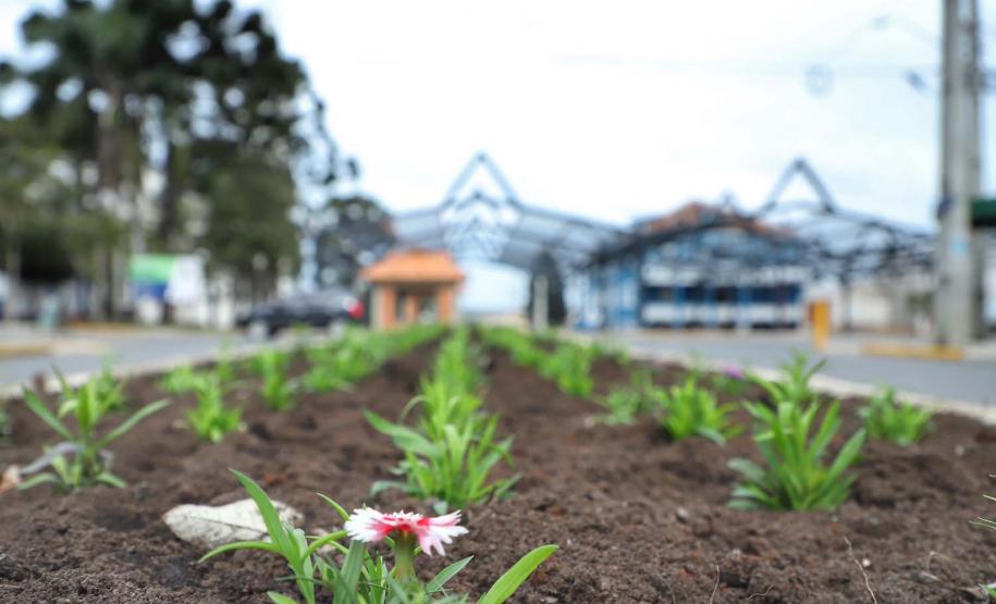 Rua do Mate valoriza a cultura e a produção de São Mateus do Sul
