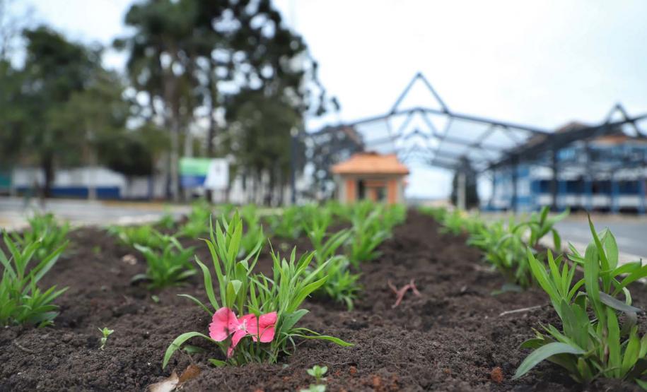 Rua do Mate valoriza a cultura e a produção de São Mateus do Sul