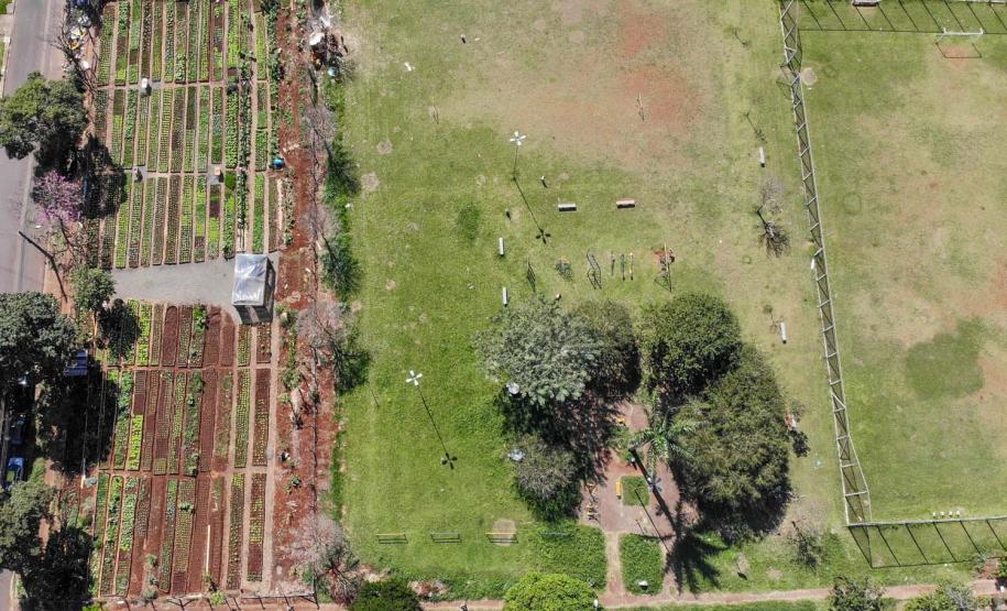 Licitações Restaurantes Populares em Maringá