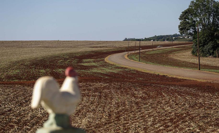 Pavimentacão em Pedra Poliédrica na KD-306  em Palotina
