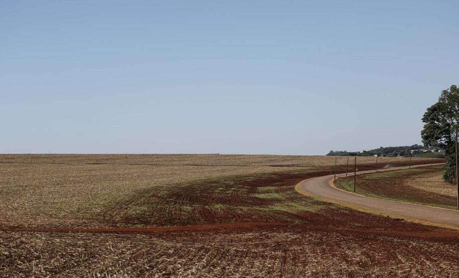 Pavimentacão em Pedra Poliédrica na KD-306  em Palotina