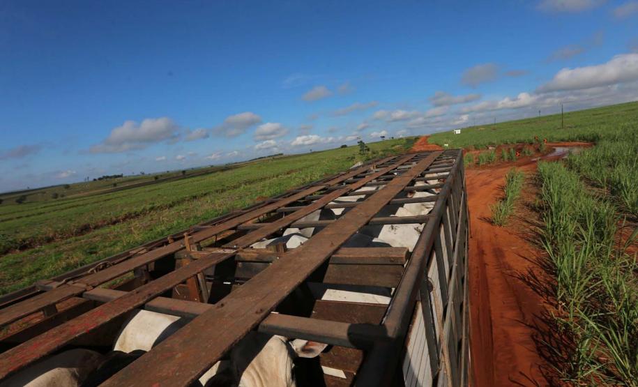 Pavimentação da Boiadeira levará prosperidade para o Noroeste