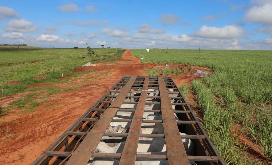 Pavimentação da Boiadeira levará prosperidade para o Noroeste