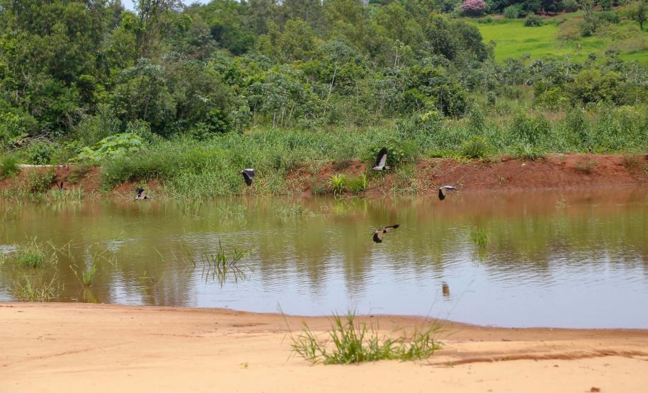 Parque Urbano em Jussara